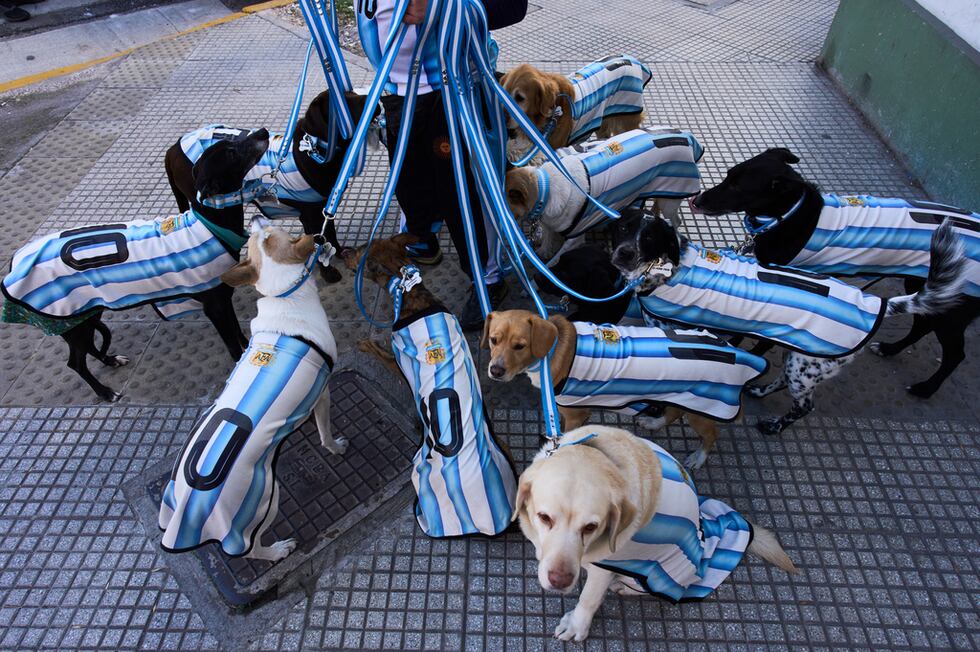 Nahuel Meneghini, paseador de perros, pasea a los perros vestido con camisetas de la selección...